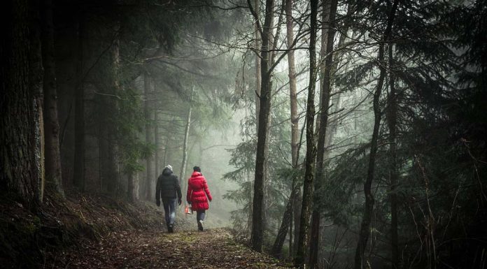 Prince Harry Sets His Next Overseas Trip