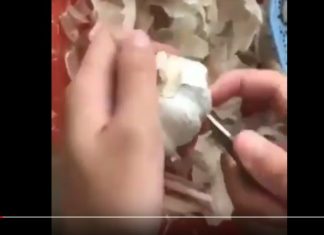 Baru Tau Ada Cara Mengupas Bawang Yang Mudah Seperti Ini Baru Tau Ada Cara Mengupas Bawang dengan Mudah