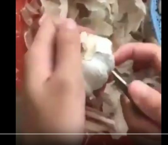 Baru Tau Ada Cara Mengupas Bawang Yang Mudah Seperti Ini Baru Tau Ada Cara Mengupas Bawang dengan Mudah